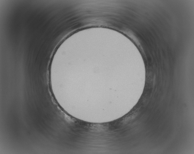 X0000073900807200608251456