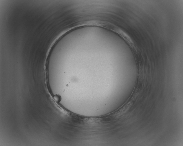 X0000073900808200608251456