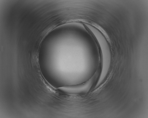 X0000073900809200608251456