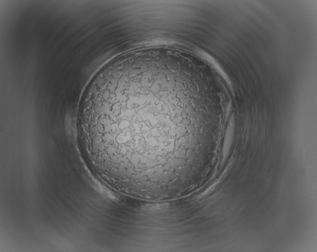 X0000073900810200608251456