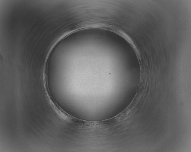 X0000073900811200608251456