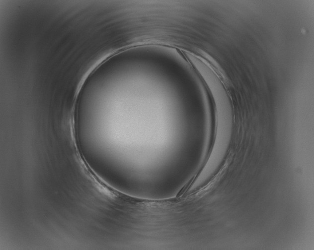 X0000073900812200608251456