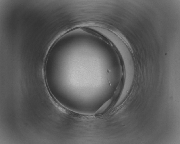 X0000073900813200608251455