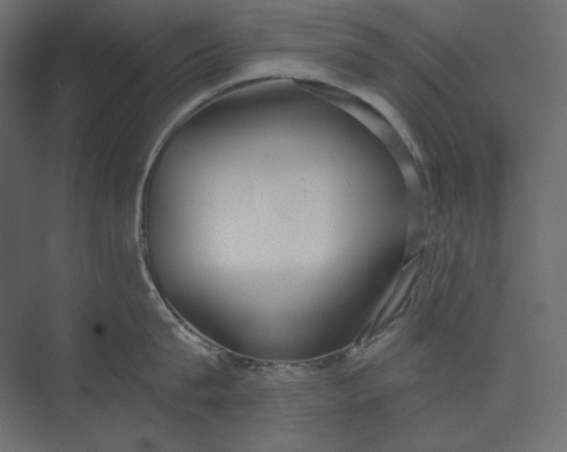 X0000073900815200608251455