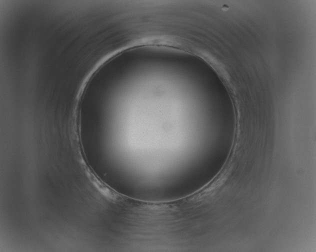 X0000073900816200608251455