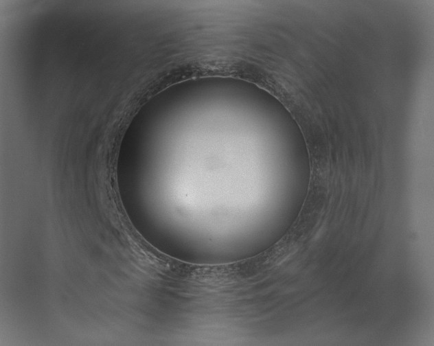 X0000073900817200608251455