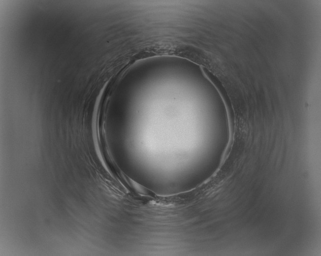 X0000073900818200608251455