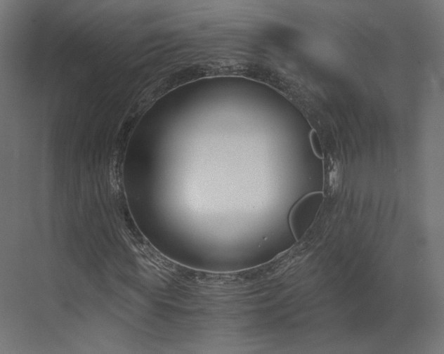 X0000073900819200608251455