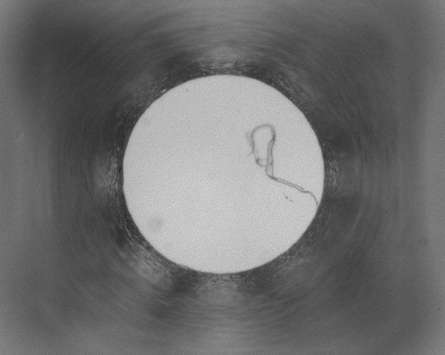 X0000073900820200608251455