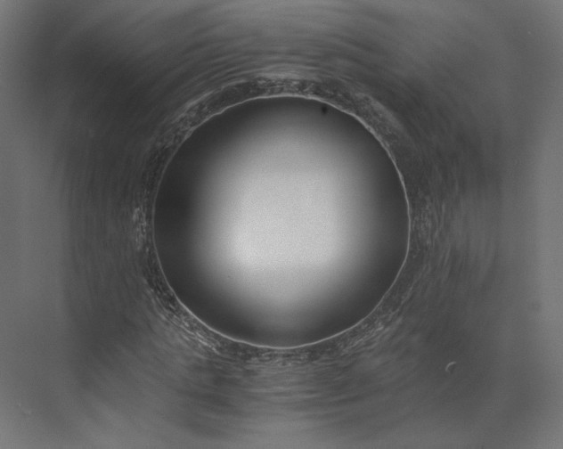 X0000073900821200608251455