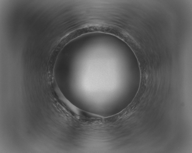 X0000073900822200608251455