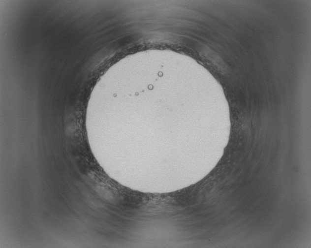 X0000073900824200608251455