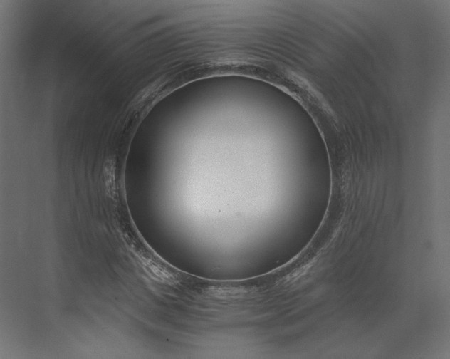 X0000073900825200608251455