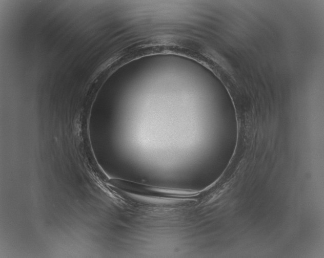 X0000073900826200608251455