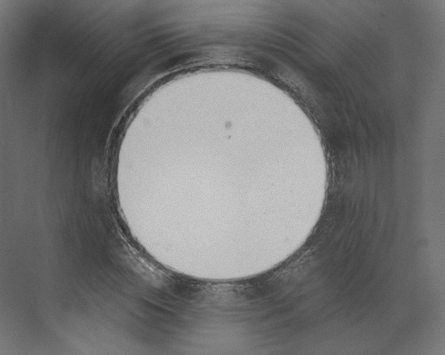 X0000073900828200608251455