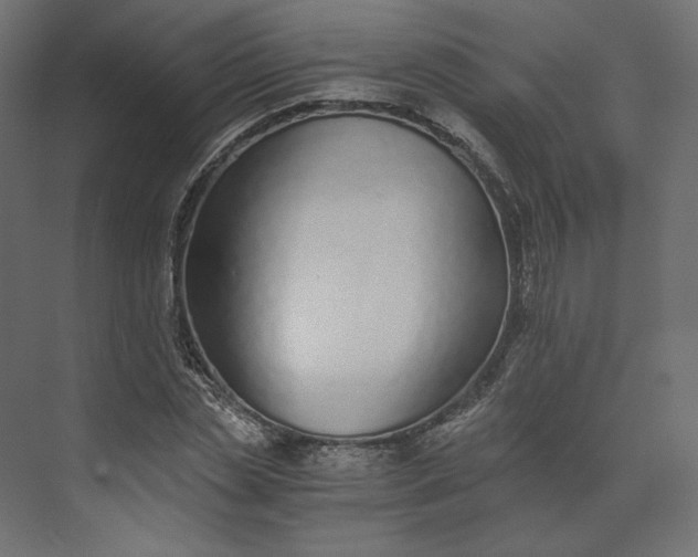 X0000073900829200608251455