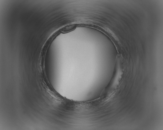 X0000073900830200608251455