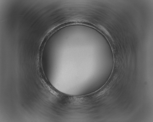 X0000073900831200608251455