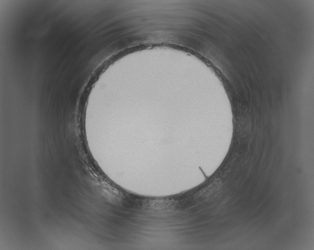 X0000073900832200608251455