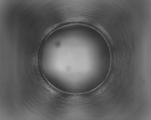 X0000073900834200608251455