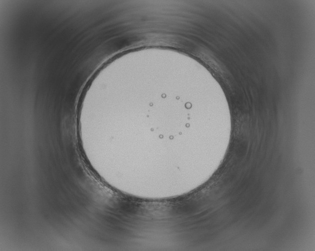 X0000073900836200608251455