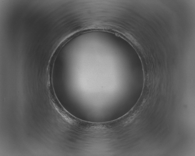 X0000073900838200608251455