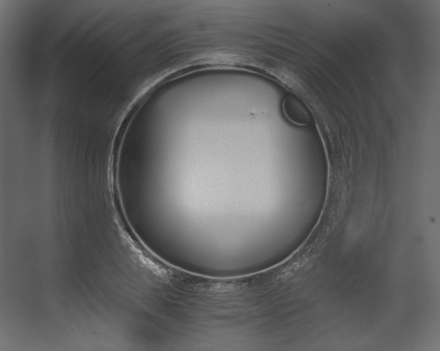 X0000073900839200608251455