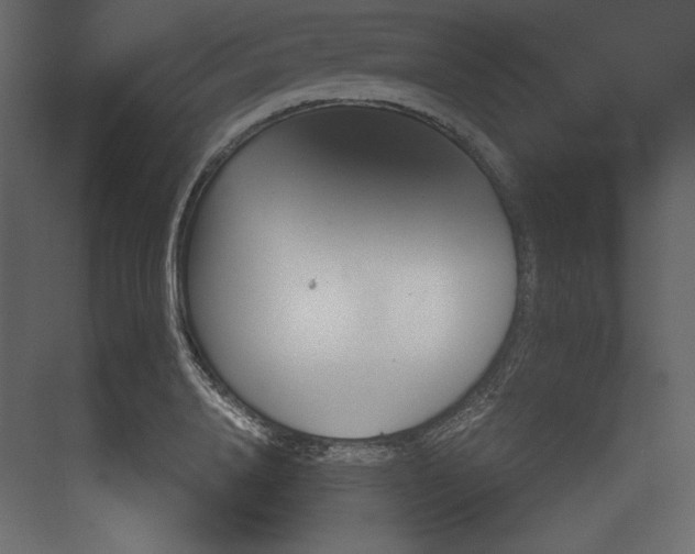 X0000073900840200608251455