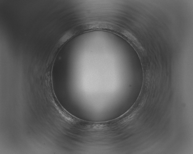 X0000073900841200608251455