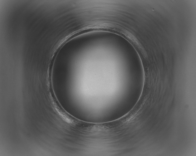 X0000073900842200608251455