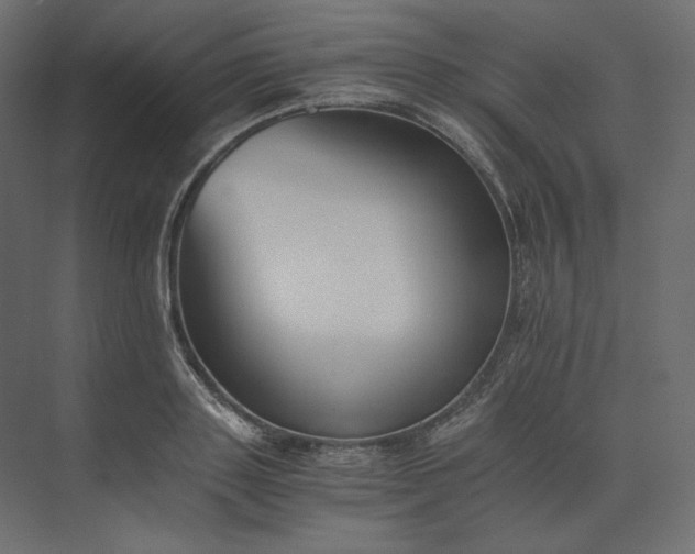 X0000073900843200608251455