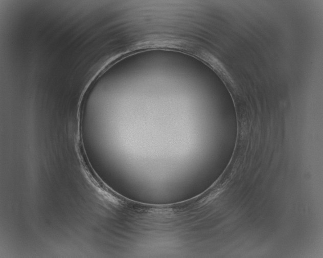 X0000073900844200608251455