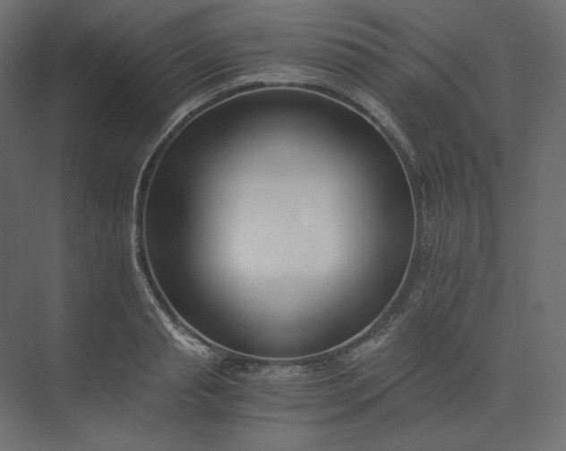 X0000073900845200608251455