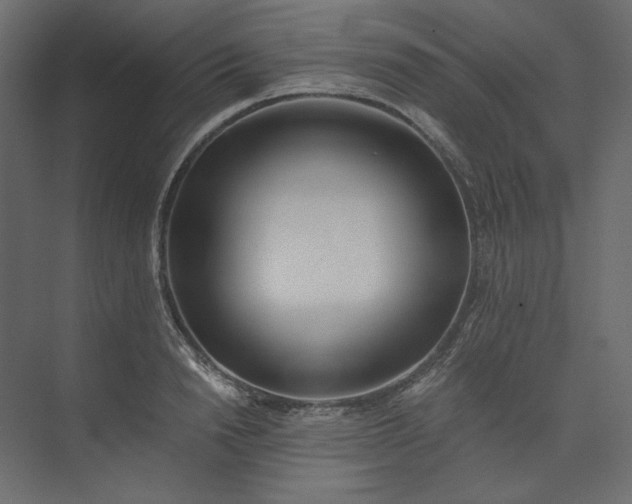 X0000073900846200608251455