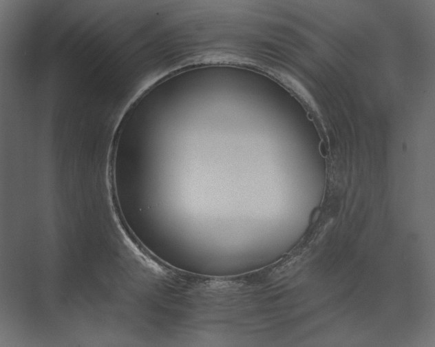 X0000073900847200608251455