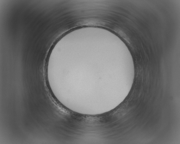 X0000073900848200608251455