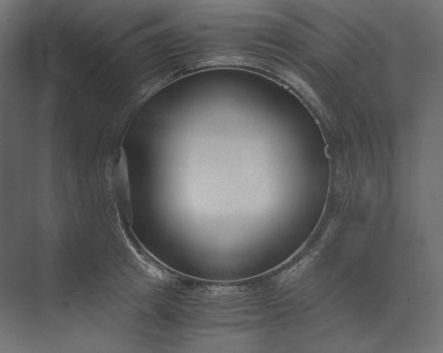 X0000073900849200608251455