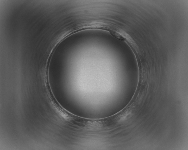 X0000073900850200608251455