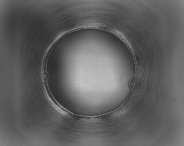 X0000073900851200608251455