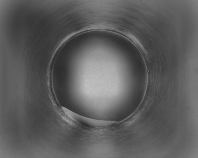 X0000073900854200608251455