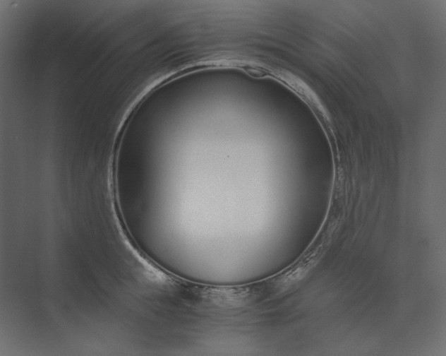 X0000073900855200608251455