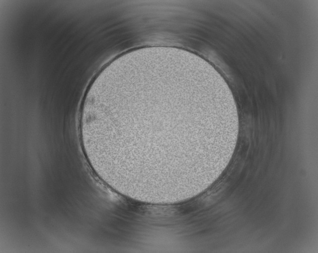 X0000073900856200608251455