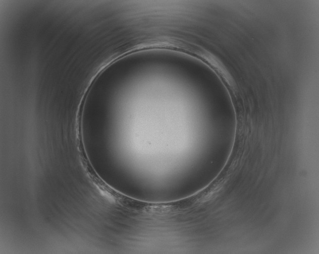 X0000073900858200608251455