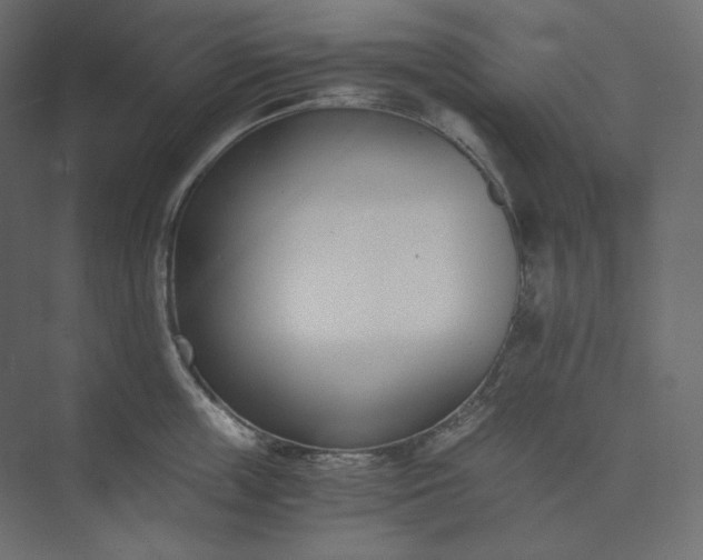 X0000073900859200608251455