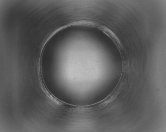 X0000073900860200608251455