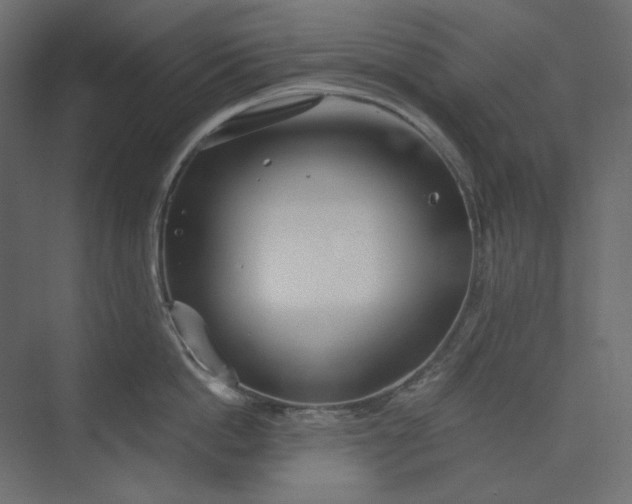 X0000073900862200608251455