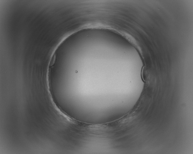 X0000073900863200608251455