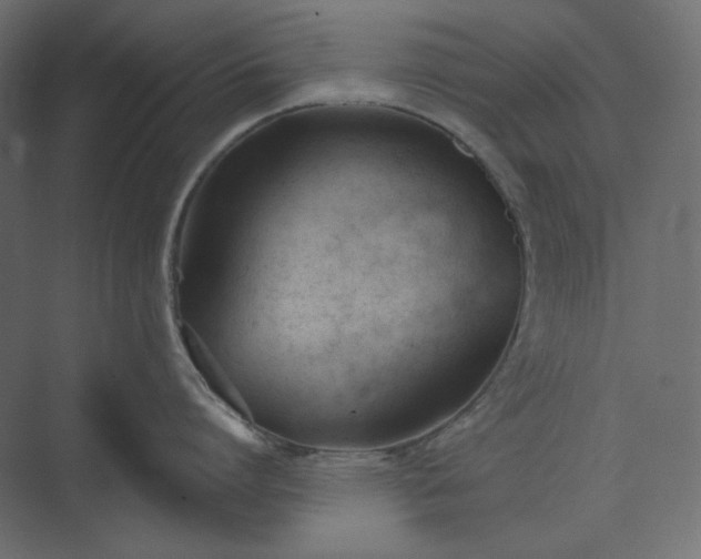 X0000073900864200608251455