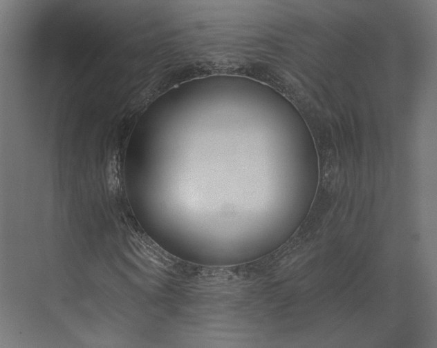 X0000073900866200608251455