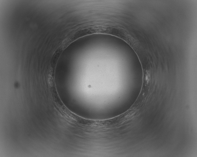 X0000073900867200608251455